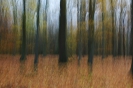 Wischer