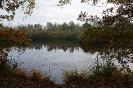 Moor